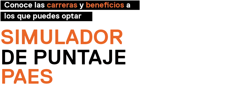 Simulador