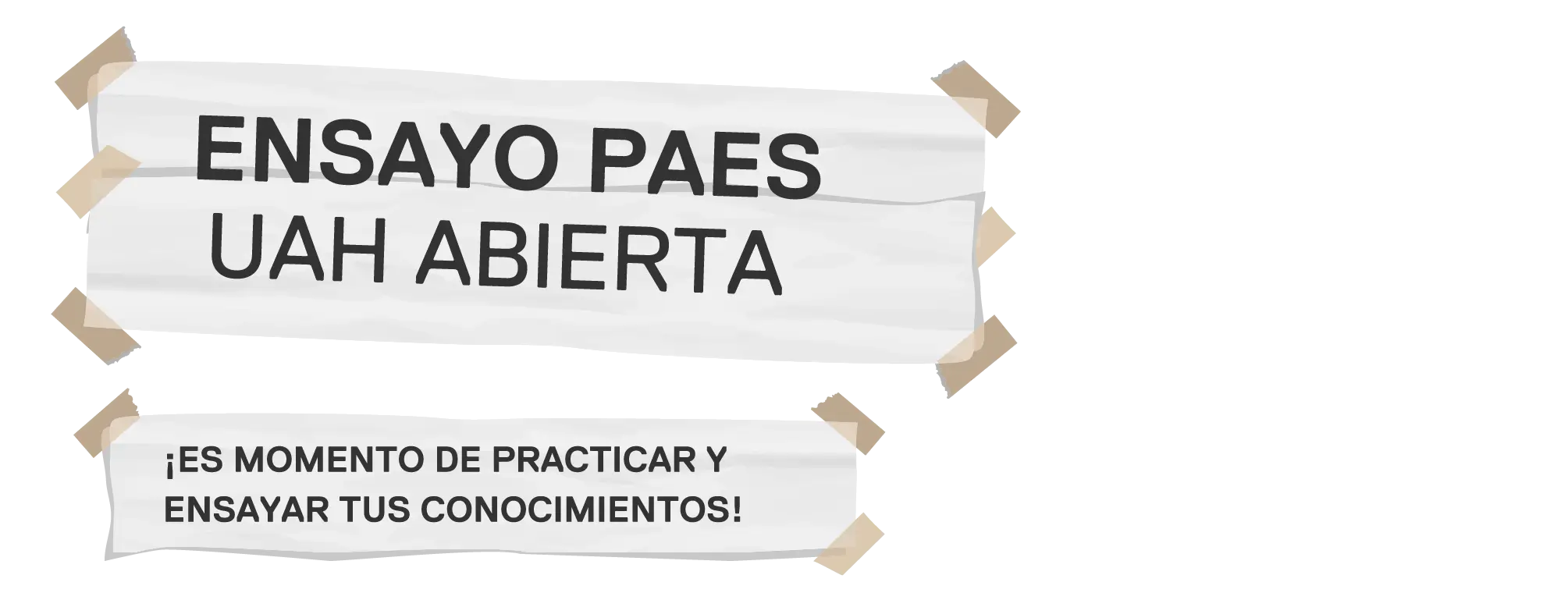 Ensayo paes